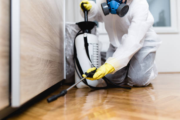 Best Ant Control Services  in Vandenberg Af, CA