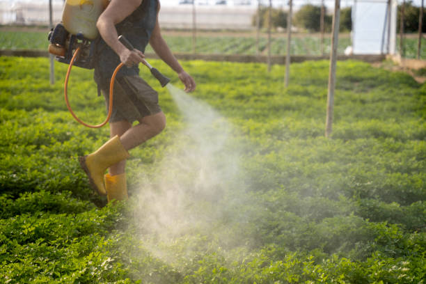 Best Affordable Pest Control Services  in Vandenberg Af, CA