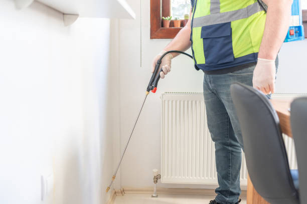 Best Rat Extermination Near Me  in Vandenberg Af, CA