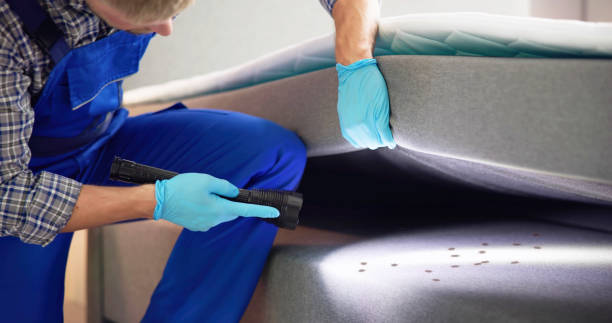 Best Wildlife Control Services  in Vandenberg Af, CA