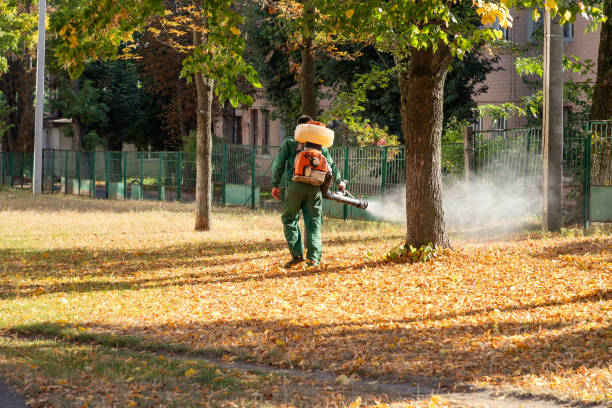 Trusted Vandenberg Af, CA Pest Control Experts