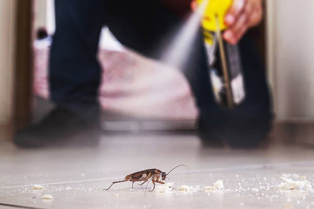 Best Commercial Pest Control Services  in Vandenberg Af, CA