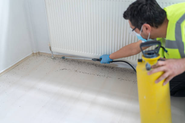 Best Affordable Pest Control Services  in Vandenberg Af, CA