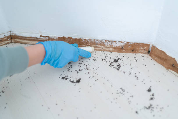 Best Cockroach Control Services  in Vandenberg Af, CA