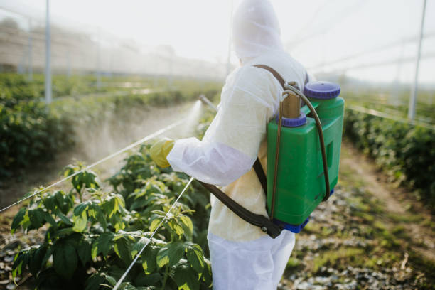 Pest Control Cost in Vandenberg Af, CA